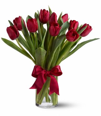 Teleflora's Radiantly Red Tulips