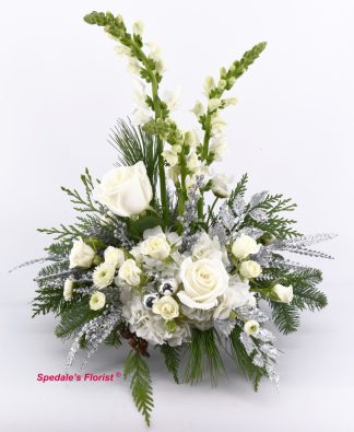 Snow White Christmas <br><span class="local-delivery-disclaimer" style="text-decoration: none; font-size: 0.7em; color: #FF0000;">• Local Delivery Only</span>