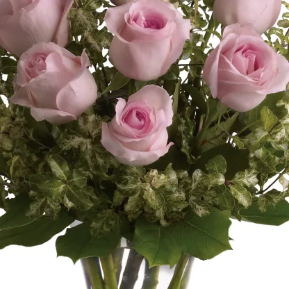 A Dozen Pink Roses - Image 4
