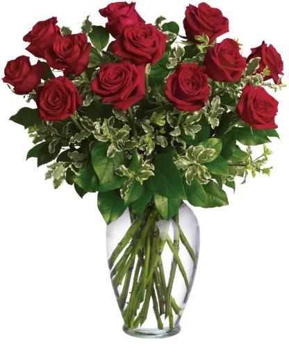 Always on My Mind - Long Stemmed Red Roses - Image 3