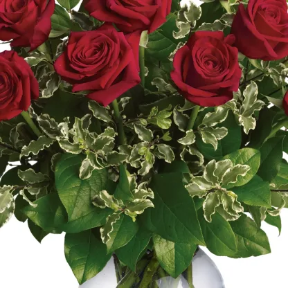 Always on My Mind - Long Stemmed Red Roses - Image 4