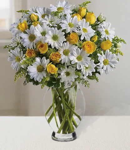 Amazing Daisy - Image 2