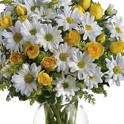 Amazing Daisy - Image 4