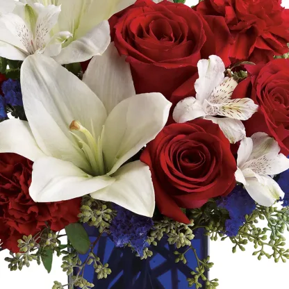 America the Beautiful - Image 4