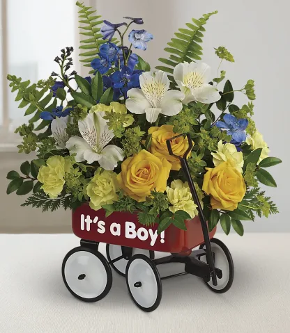 Baby's First Wagon - Boy - Image 2