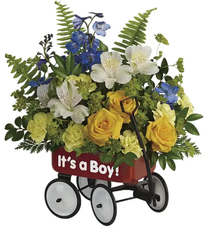 Baby's First Wagon - Boy - Image 3