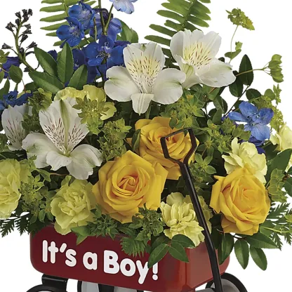 Baby's First Wagon - Boy - Image 4