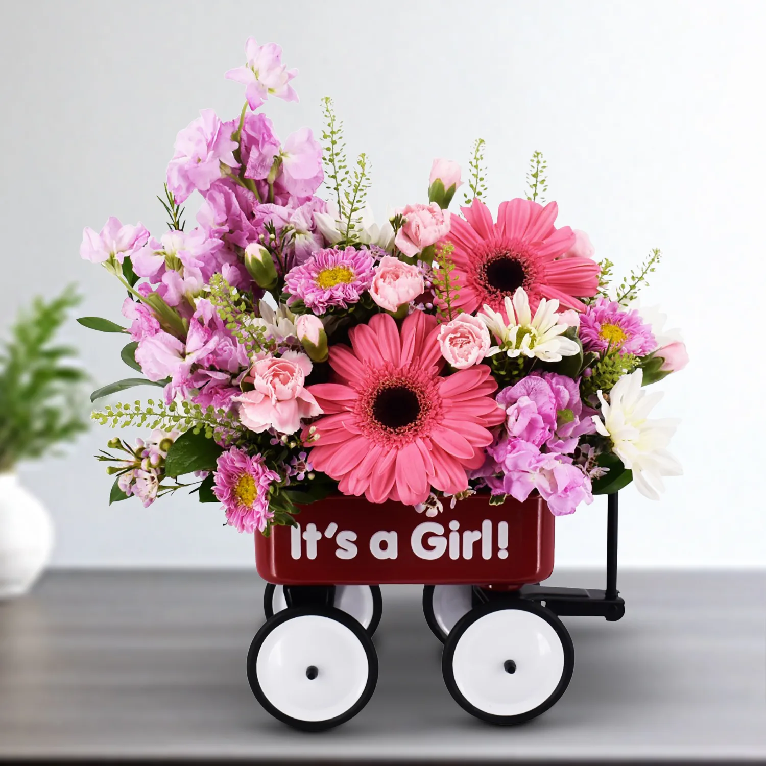 Baby's First Wagon - Girl - Image 2