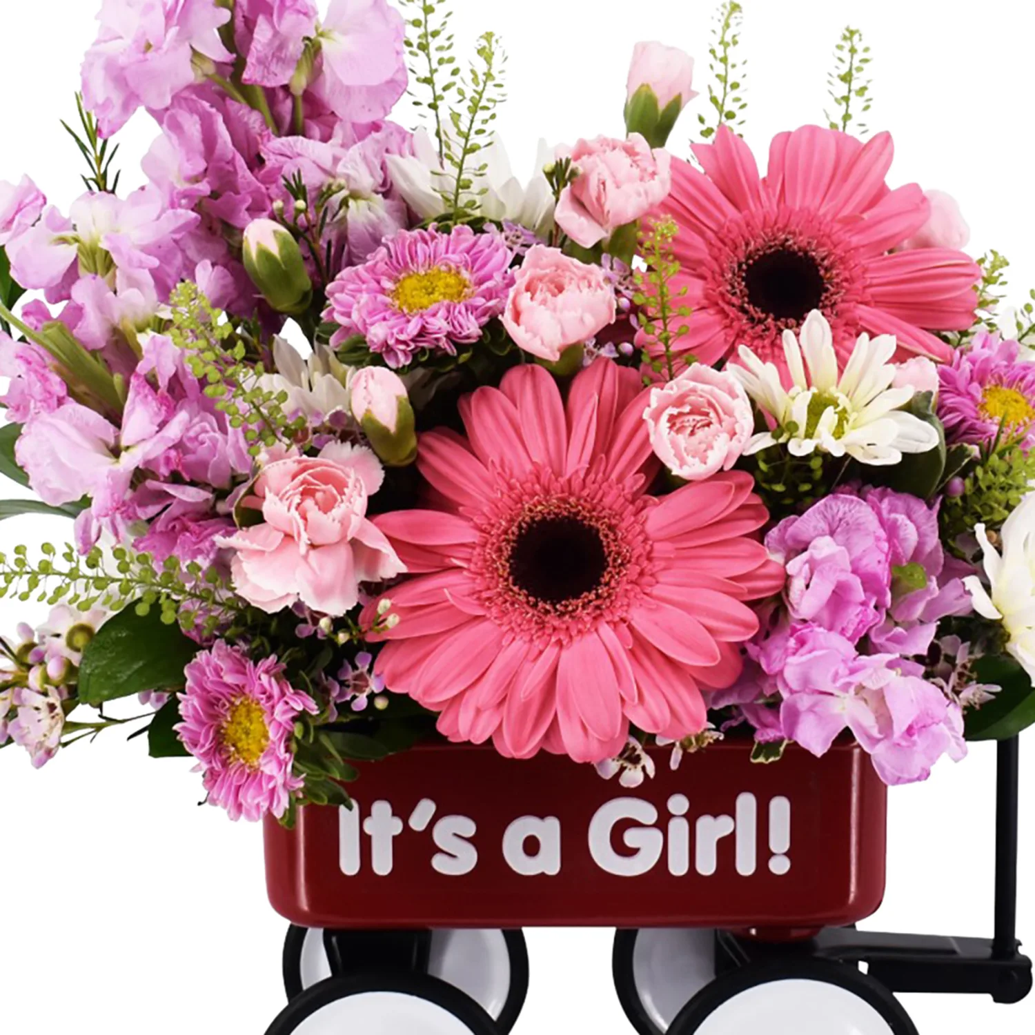 Baby's First Wagon - Girl - Image 4