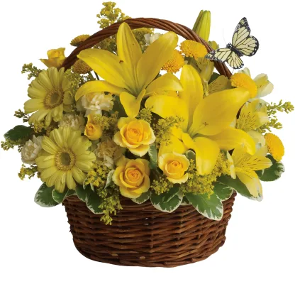 Basket Full of Wishes - Image 3