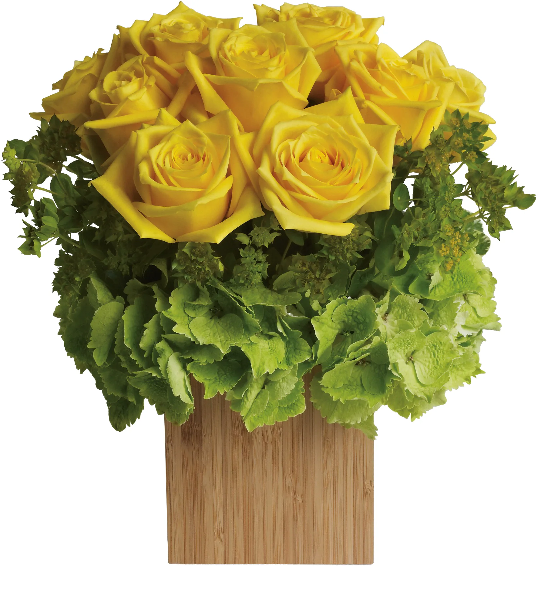 Box of Sunshine - Image 3