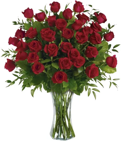 Breathtaking Beauty - 3 Dozen Long Stemmed Roses - Image 3