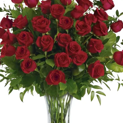 Breathtaking Beauty - 3 Dozen Long Stemmed Roses - Image 4