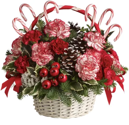 Candy Cane Christmas - Image 3
