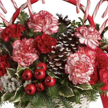 Candy Cane Christmas - Image 4