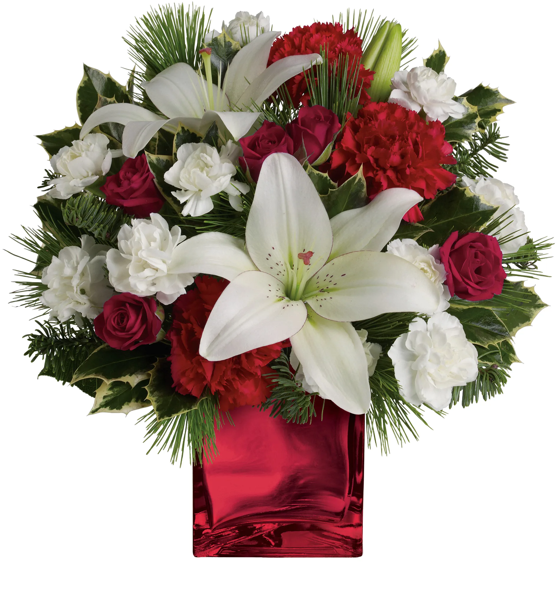 Caroling in the Snow - Image 3