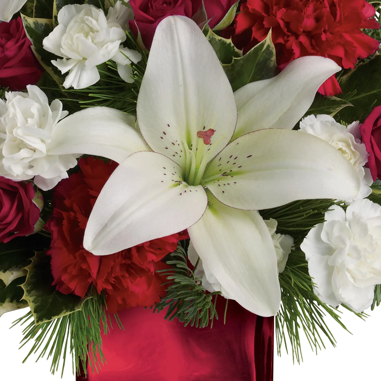 Caroling in the Snow - Image 4