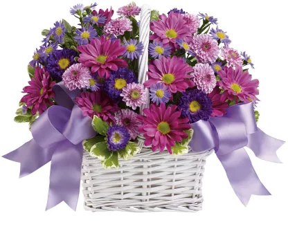 Daisy Daydreams - Image 3