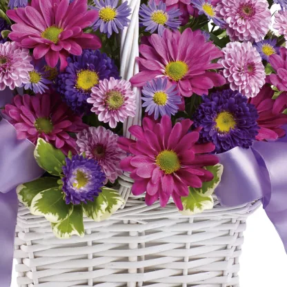 Daisy Daydreams - Image 4
