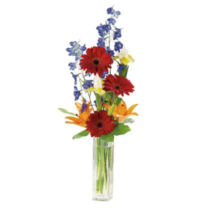 Gerbera Greetings - Image 3