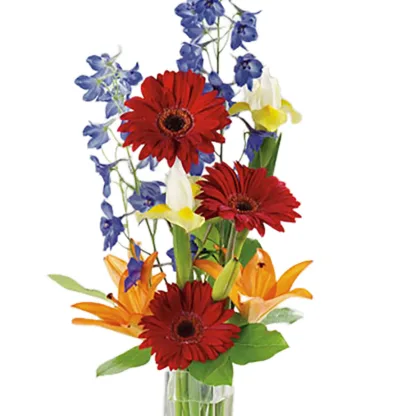 Gerbera Greetings - Image 4