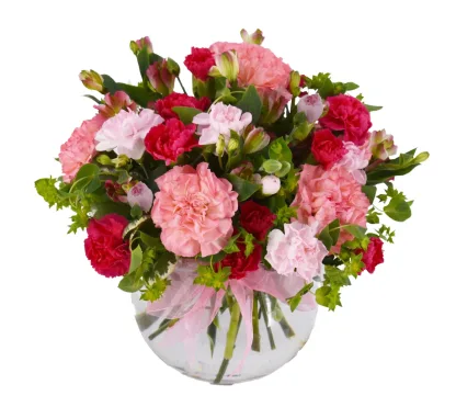Happy Carnations - Image 3