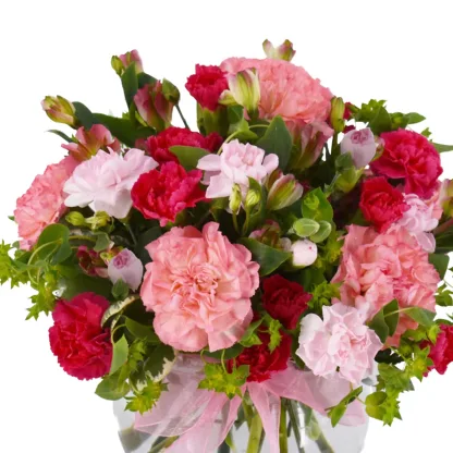 Happy Carnations - Image 4
