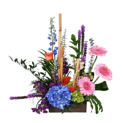 Harmony of Hues and Nature - Image 3