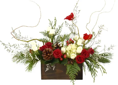 Holly - Image 3