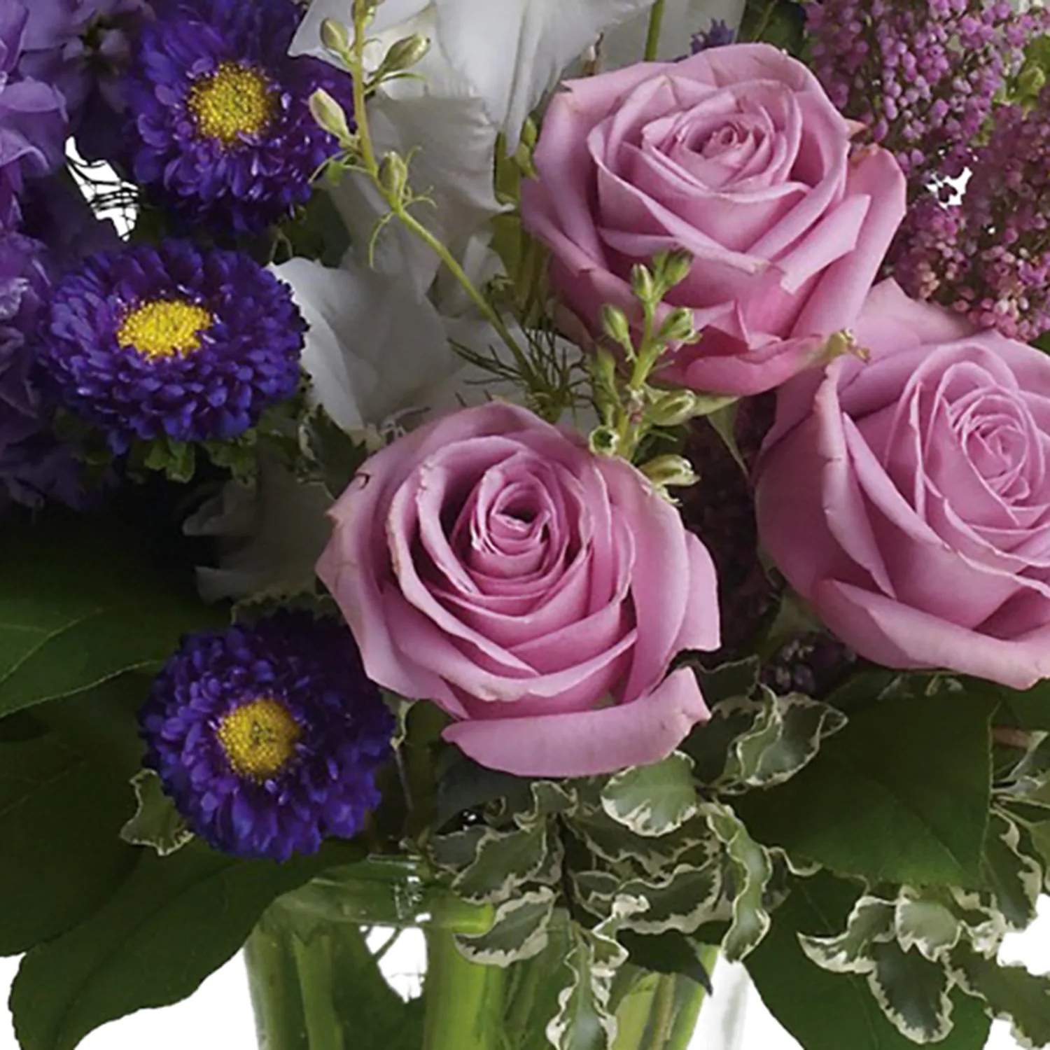 Joyful Memory - Image 4