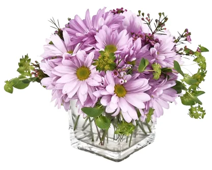 Lavender Daisies - Image 3