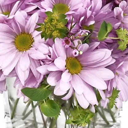 Lavender Daisies - Image 4