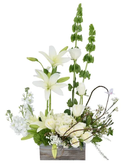 Milou - Image 3