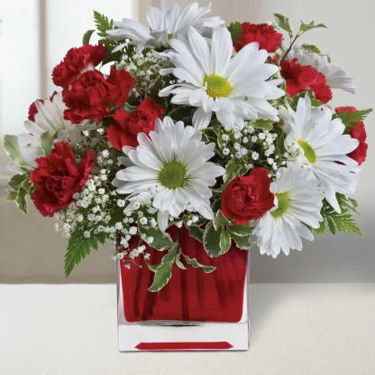 Red And White Delight - Image 2