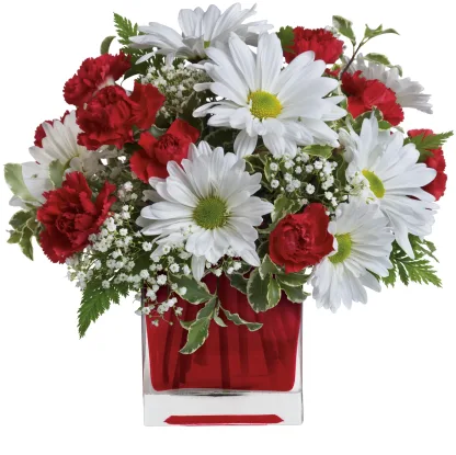 Red And White Delight - Image 3