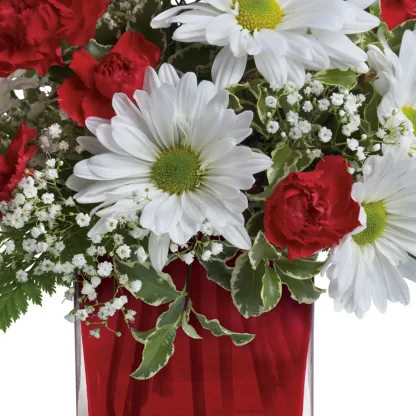 Red And White Delight - Image 4