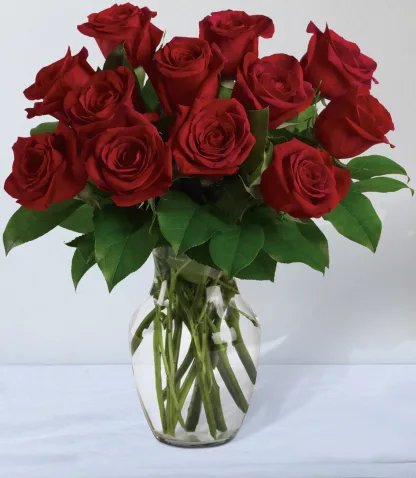 Red Roses - Image 2