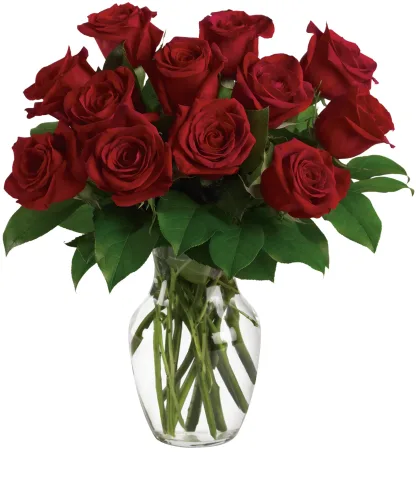 Red Roses - Image 3