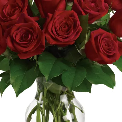 Red Roses - Image 4