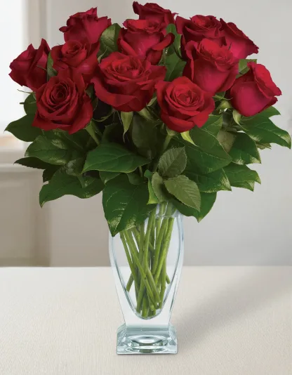 Rose Classique - Dozen Red Roses - Image 2