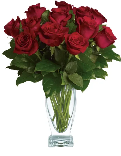 Rose Classique - Dozen Red Roses - Image 3