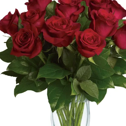 Rose Classique - Dozen Red Roses - Image 4