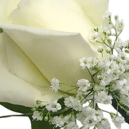 Single White Rose Boutonniere - Image 4