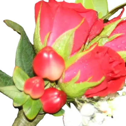 Special 3 Rose Bout - Image 4