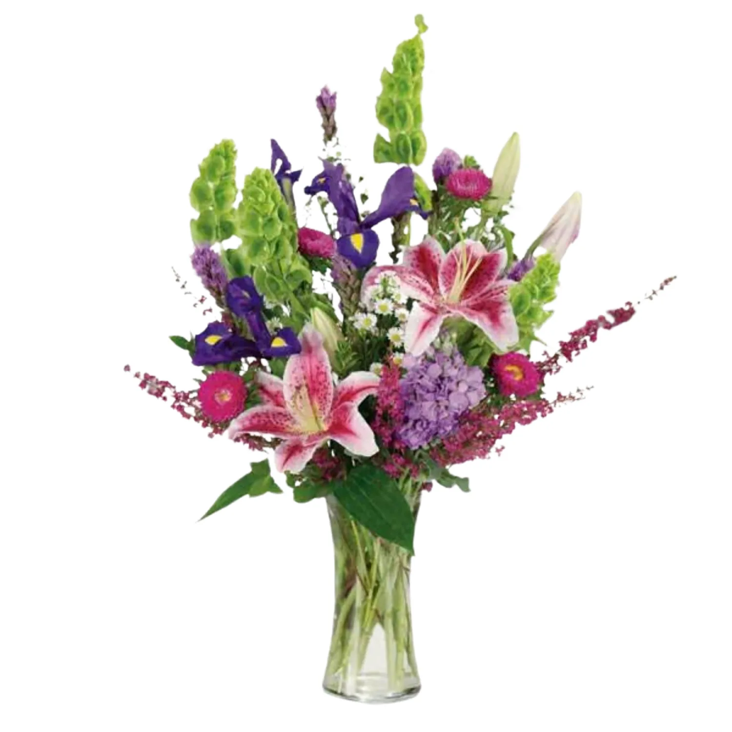 Stargazer Garden - Image 3