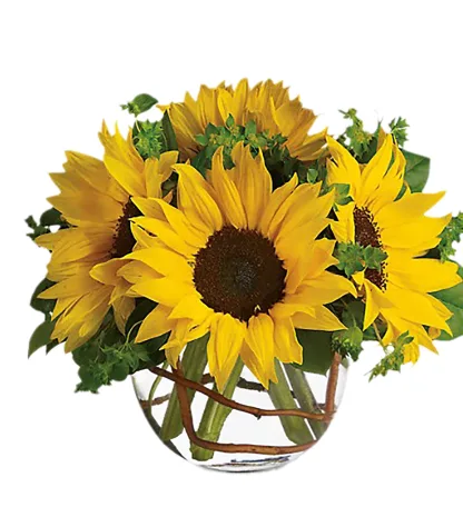 Sunny Sunflowers - Image 3