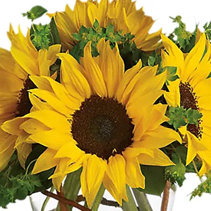 Sunny Sunflowers - Image 4