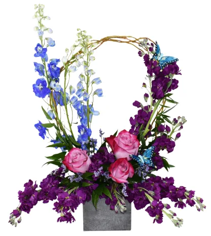 Violette - Image 3
