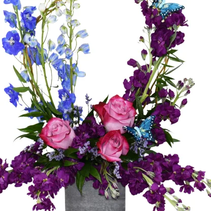 Violette - Image 4