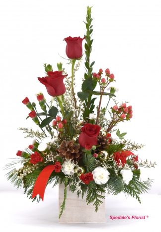 Noel <br><span class="local-delivery-disclaimer" style="text-decoration: none; font-size: 0.7em; color: #FF0000;">• Local Delivery Only</span>